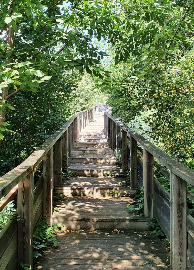 Parc Chenal 3